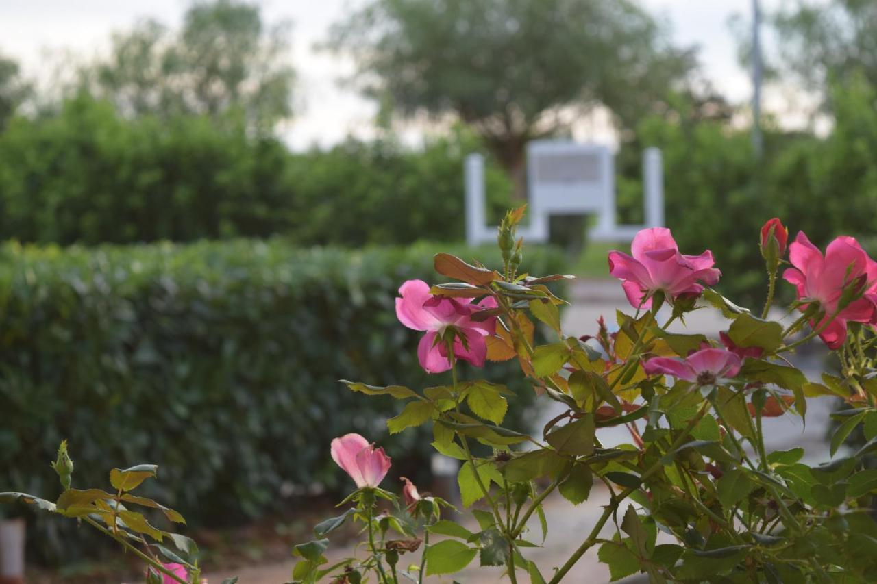 Agri-Resort Luxury Farm ماريليانو المظهر الخارجي الصورة